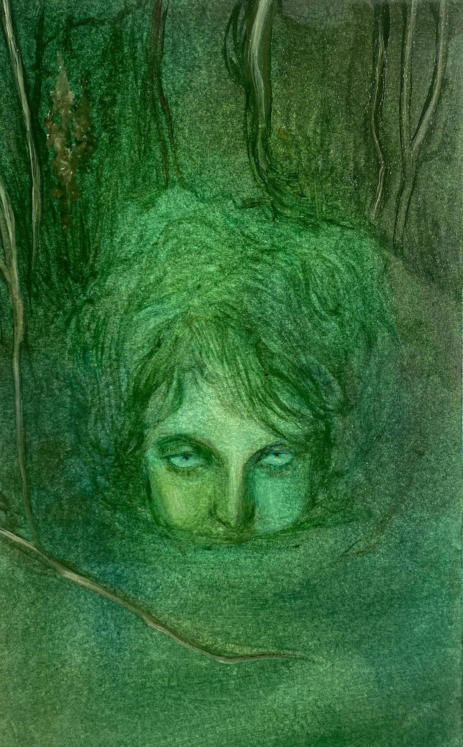 Anguana studies